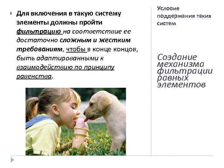  Для включения в такую систему элементы должны пройти фильтрацию на соответствие ее достаточно