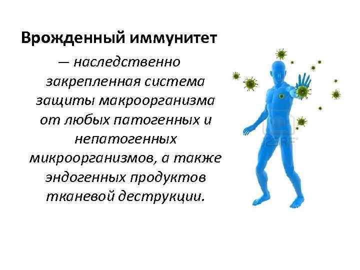 Врожденный иммунитет. Наследственный иммунитет. Наследственный врожденный иммунитет. Врожденная иммунная система.