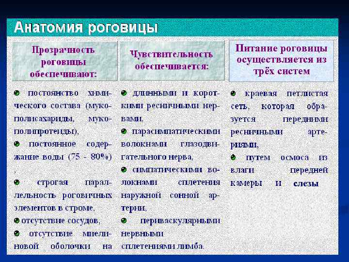 Питание роговицы осуществляется из трёх систем слезы 