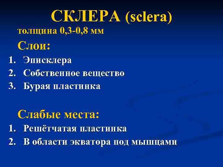 CКЛЕРА (sclera) толщина 0, 3 -0, 8 мм Слои: 1. 2. 3. Эписклера Собственное