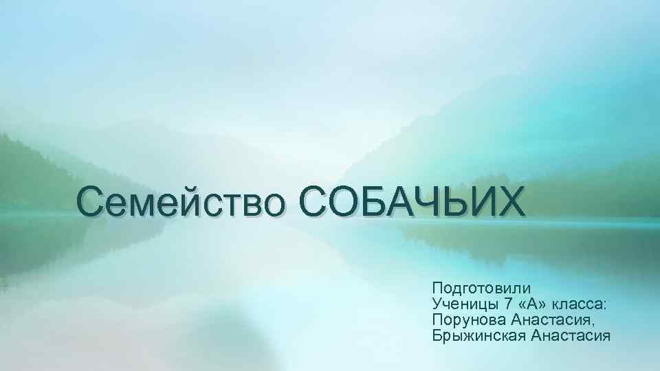 Семейство СОБАЧЬИХ Подготовили Ученицы 7 «А» класса: Порунова Анастасия, Брыжинская Анастасия 