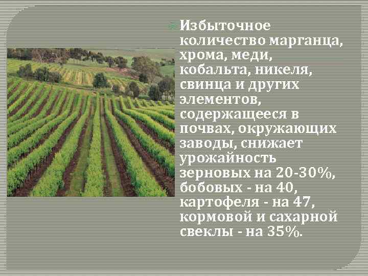  Избыточное количество марганца, хрома, меди, кобальта, никеля, свинца и других элементов, содержащееся в