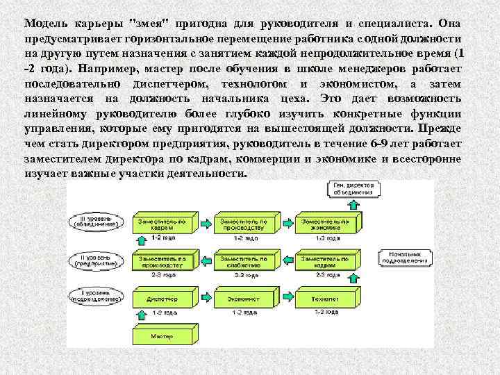 Процесс карьеры в организации. Модели карьерного роста. Модели построения карьеры. Модели служебной карьеры этапы карьеры. Алгоритм построения карьеры.