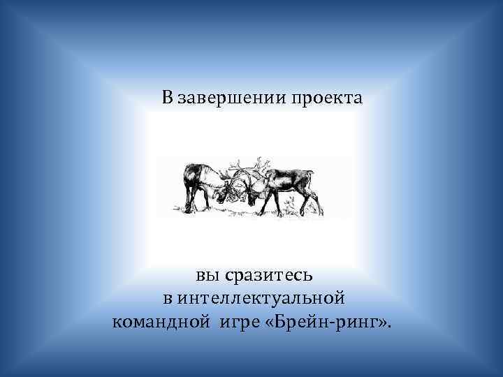 В завершении проекта вы сразитесь в интеллектуальной командной игре «Брейн-ринг» . 