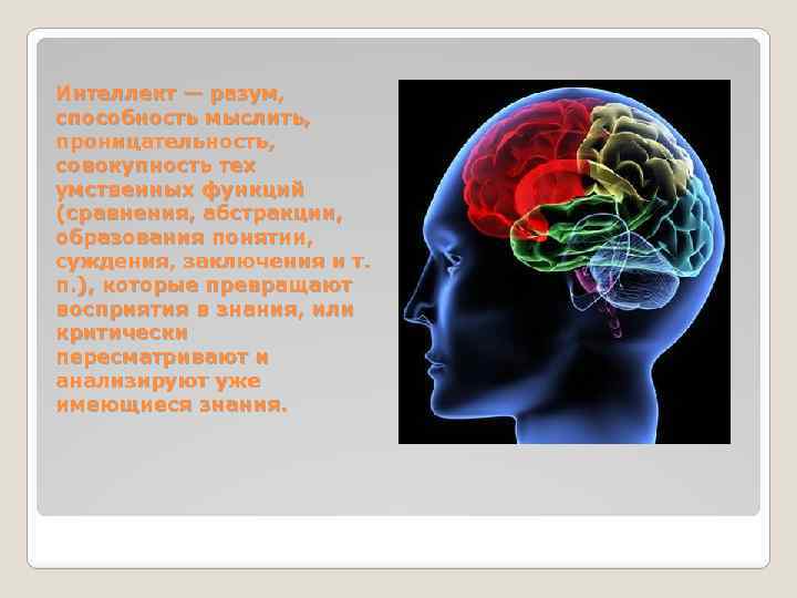 Интеллект — разум, способность мыслить, проницательность, совокупность тех умственных функций (сравнения, абстракции, образования понятии,