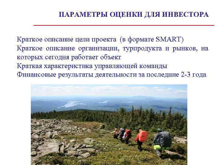 ОЦЕНКА БИЗНЕС ИДЕИ ПАРАМЕТРЫ ОЦЕНКИ ДЛЯ ИНВЕСТОРА Краткое описание цели проекта (в формате SMART)