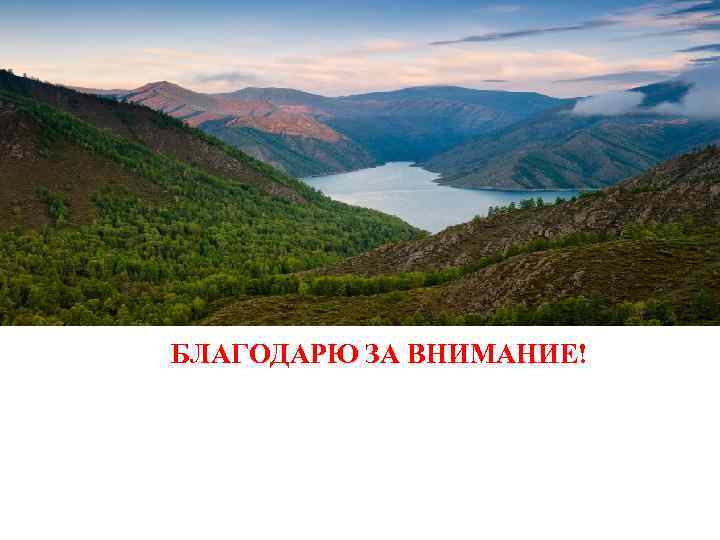 БЛАГОДАРЮ ЗА ВНИМАНИЕ! 