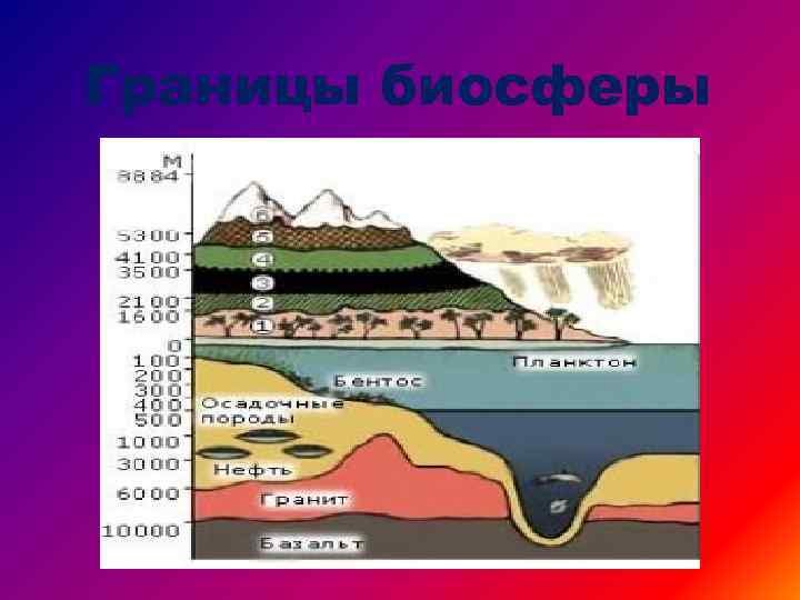 Границы биосферы 