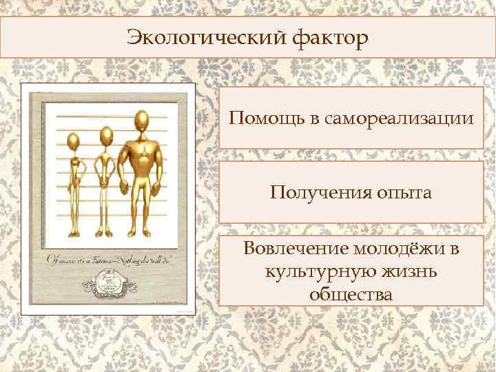 Экологический фактор Помощь в самореализации Получения опыта Вовлечение молодёжи в культурную жизнь общества 