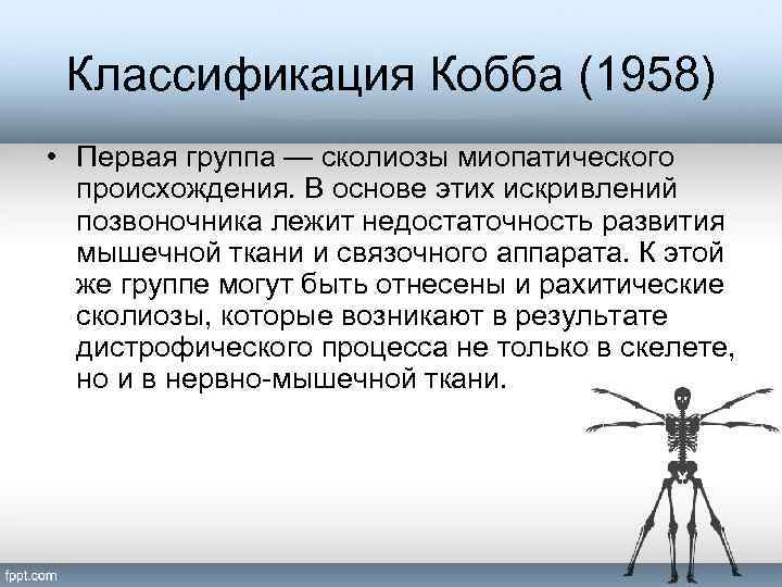 Классификация Кобба (1958) • Первая группа — сколиозы миопатического происхождения. В основе этих искривлений