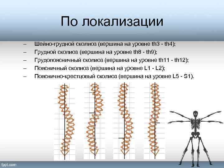 Поперечный распил грудной полости на уровнях th4 th6 th9 схема