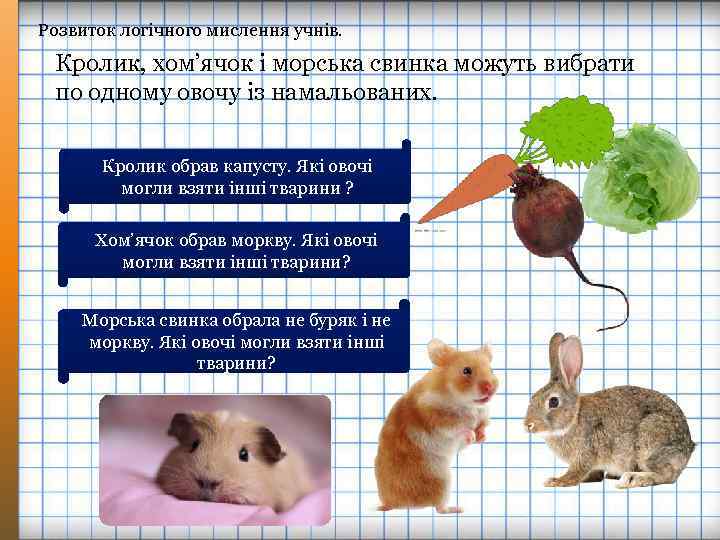 Розвиток логічного мислення учнів. Кролик, хом’ячок і морська свинка можуть вибрати по одному овочу