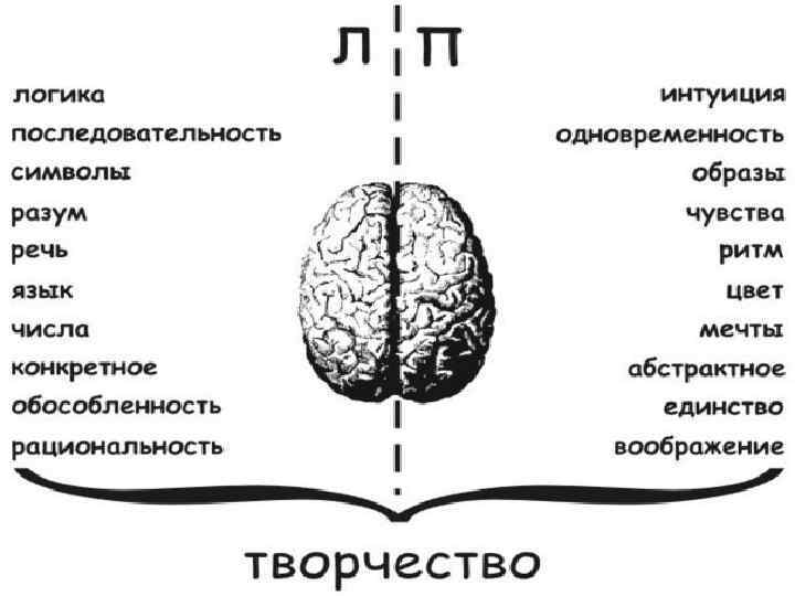 Л логика, анализ ТЕСТ П эмоции, интуиция 