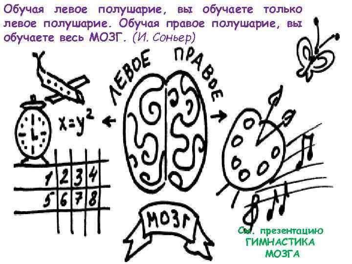 Обучая левое полушарие, вы обучаете только левое полушарие. Обучая правое полушарие, вы обучаете весь