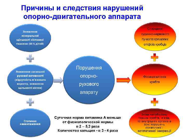 Причины и следствия нарушений опорно-двигательного аппарата Суточная норма витамина А меньше от физиологической нормы