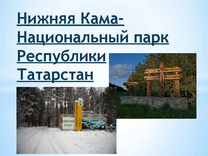 Нижняя Кама. Национальный парк Республики Татарстан 