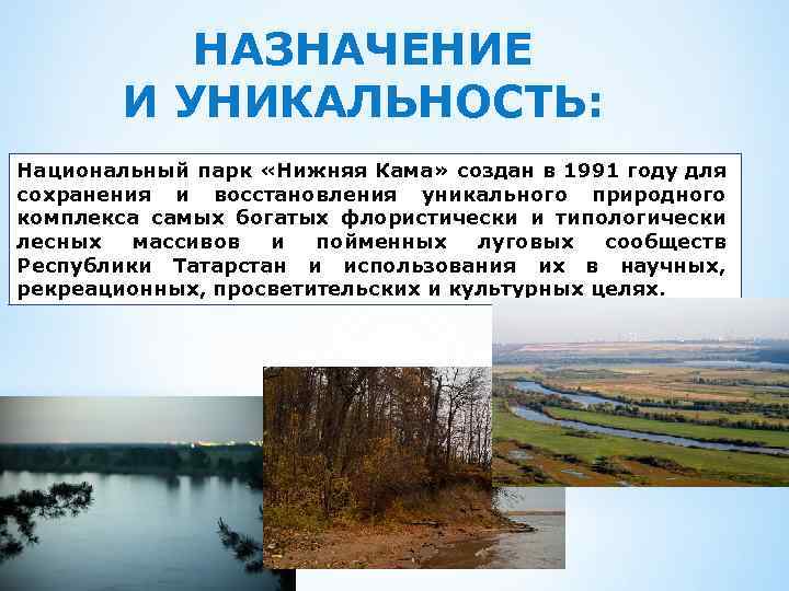 НАЗНАЧЕНИЕ И УНИКАЛЬНОСТЬ: Национальный парк «Нижняя Кама» создан в 1991 году для сохранения и