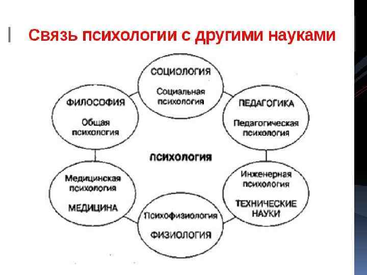 Связь логопедии с другими науками презентация