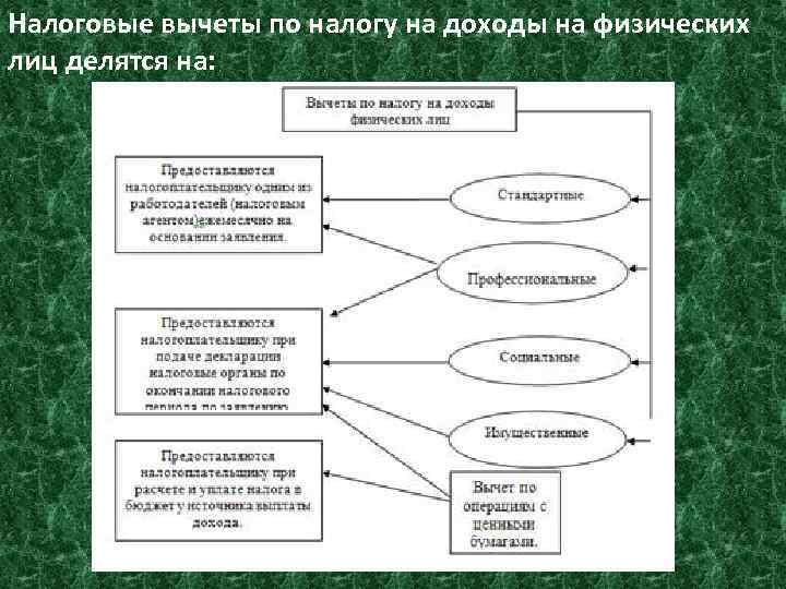 Налоги физических лиц презентация