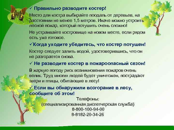 ü Правильно разводите костер! Место для костра выбирайте поодаль от деревьев, на расстоянии не