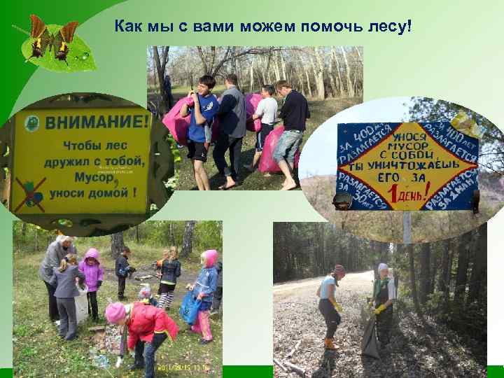 Как мы с вами можем помочь лесу! 
