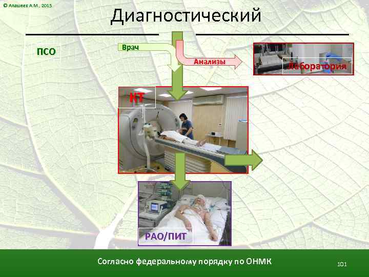 © Алашеев А. М. , 2015 ПСО Диагностический Врач Анализы Лаборатория КТ РАО/ПИТ Согласно