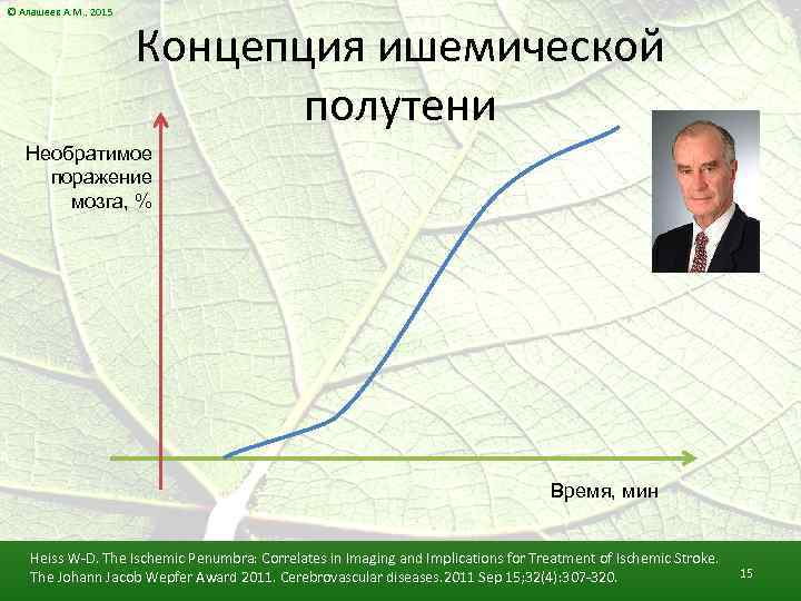 © Алашеев А. М. , 2015 Концепция ишемической полутени Необратимое поражение мозга, % Время,