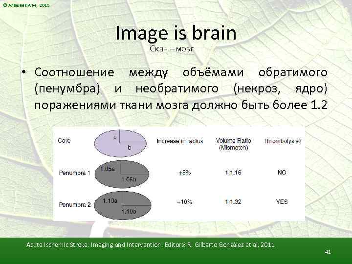 © Алашеев А. М. , 2015 Image is brain Скан – мозг • Соотношение