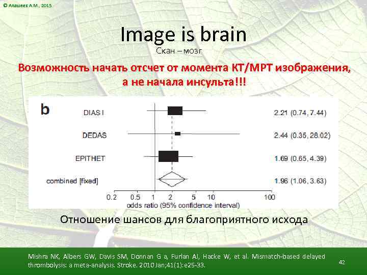 © Алашеев А. М. , 2015 Image is brain Скан – мозг Возможность начать