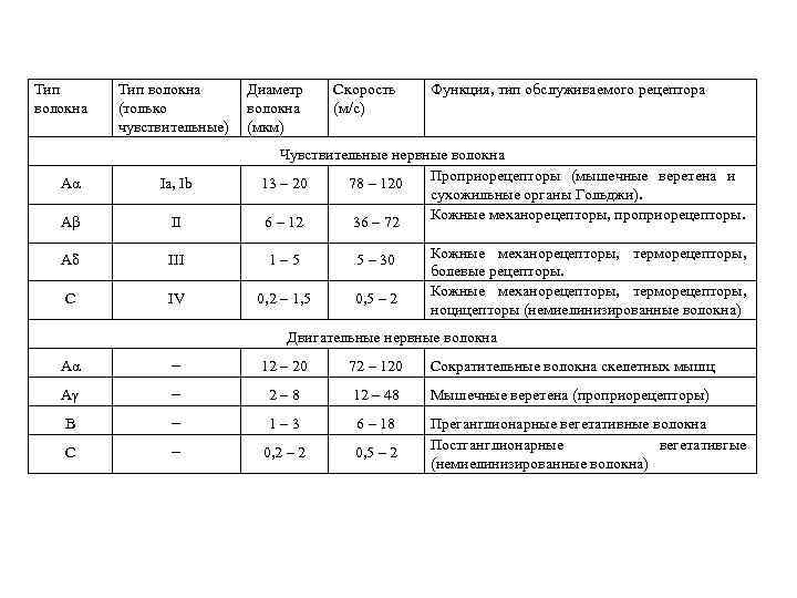 Тип волокна (только чувствительные) Диаметр волокна (мкм) Скорость (м/с) Функция, тип обслуживаемого рецептора Чувствительные