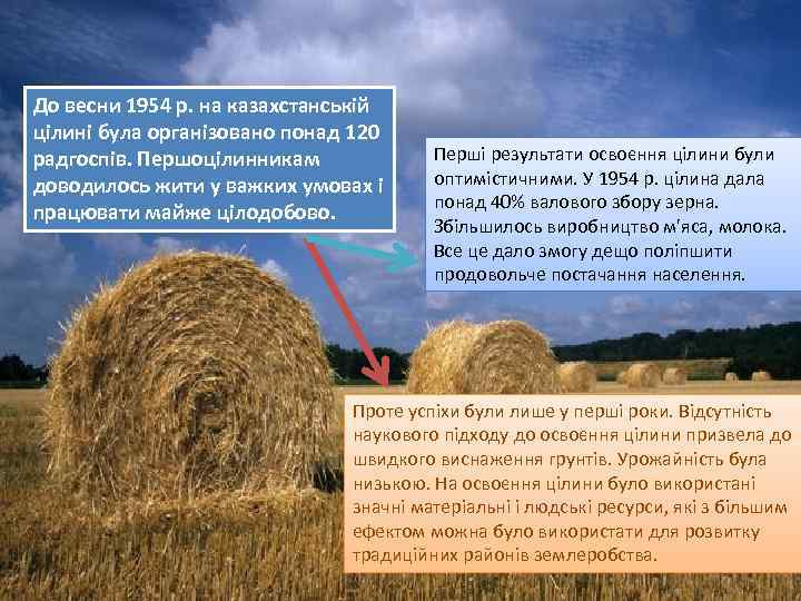 До весни 1954 р. на казахстанській цілині була організовано понад 120 радгоспів. Першоцілинникам доводилось