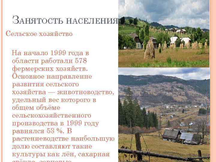 ЗАНЯТОСТЬ НАСЕЛЕНИЯ Сельское хозяйство На начало 1999 года в области работали 578 фермерских хозяйств.