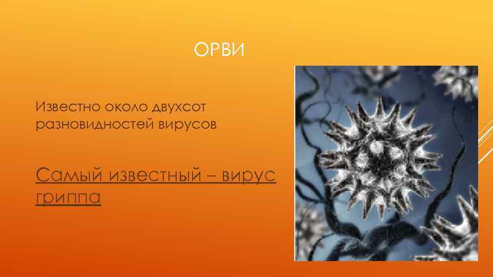 ОРВИ Известно около двухсот разновидностей вирусов Самый известный – вирус гриппа 