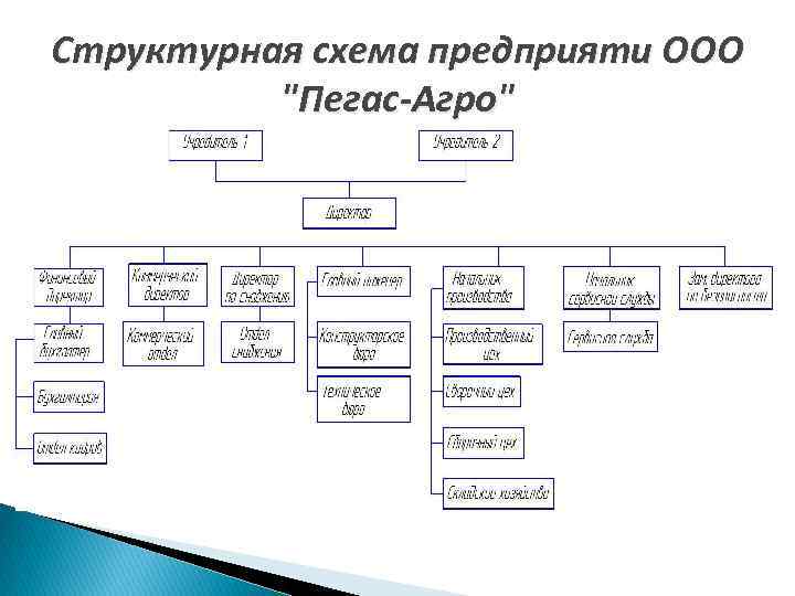 Структурная схема предприяти ООО "Пегас-Агро" 