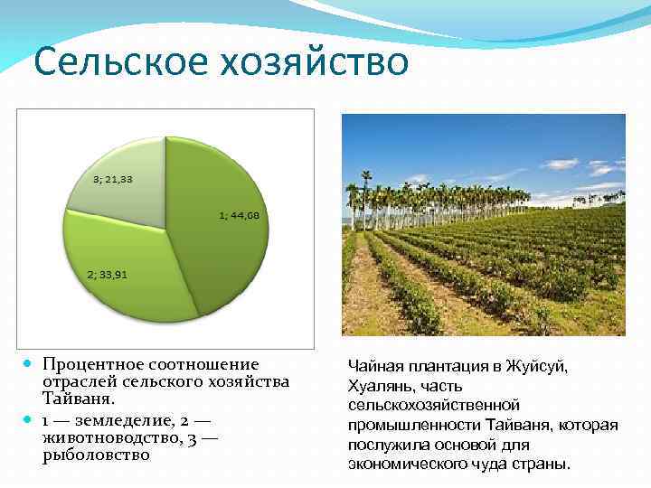 Китай промышленность сельское хозяйство сфера услуг. Сельское хозяйство процентное соотношение. Отрасли специализации сельского хозяйства. Соотношение отраслей сельское хозяйство. Отрасли специализации сельского хозяйства Тайвань.