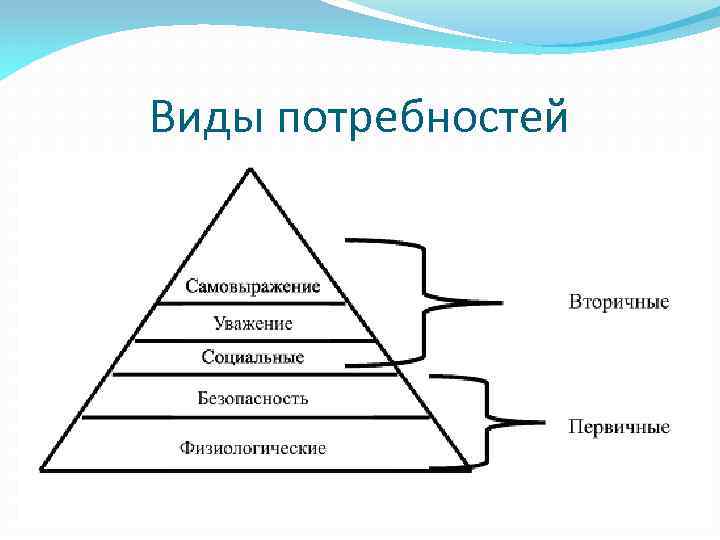 Виды потребностей 