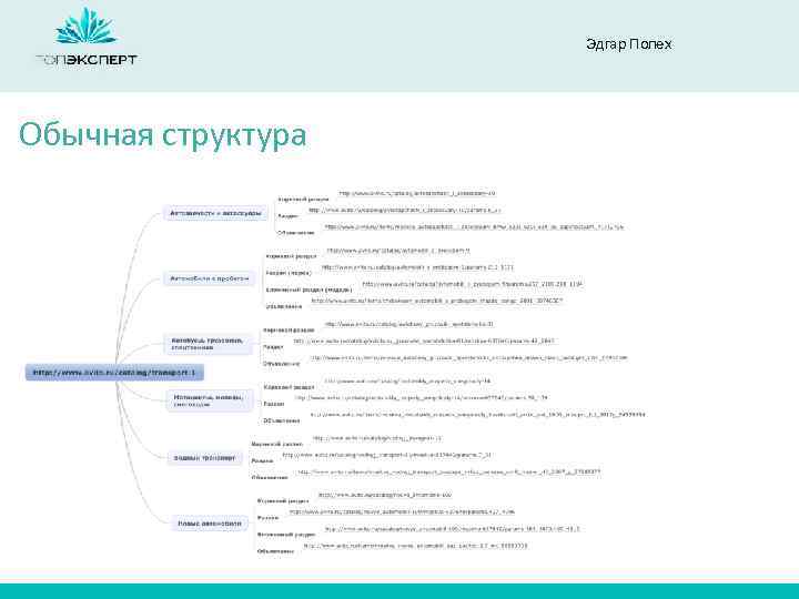 Эдгар Полех Обычная структура 