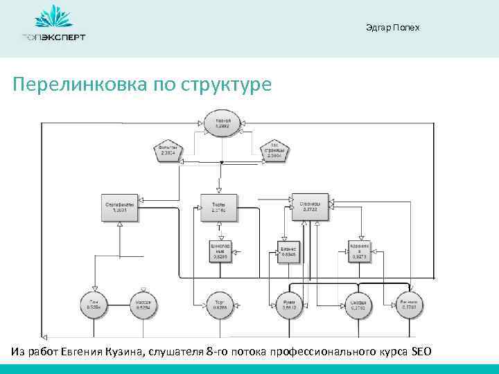 Эдгар Полех Перелинковка по структуре Из работ Евгения Кузина, слушателя 8 -го потока профессионального