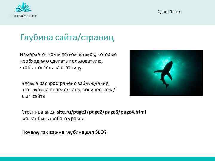 Эдгар Полех Глубина сайта/страниц Измеряется количеством кликов, которые необходимо сделать пользователю, чтобы попасть на