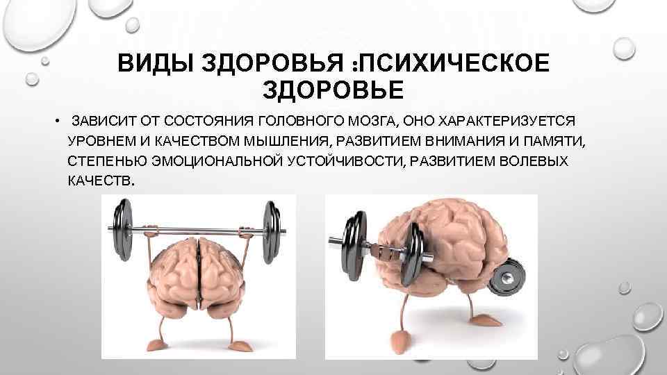 ВИДЫ ЗДОРОВЬЯ : ПСИХИЧЕСКОЕ ЗДОРОВЬЕ • ЗАВИСИТ ОТ СОСТОЯНИЯ ГОЛОВНОГО МОЗГА, ОНО ХАРАКТЕРИЗУЕТСЯ УРОВНЕМ