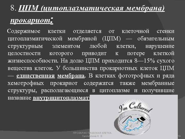 8. ЦПМ (цитоплазматическая мембрана) прокариот: Содержимое клетки отделяется от клеточной стенки цитоплазматической мембраной (ЦПМ)