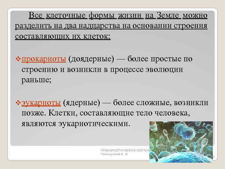 Какие неклеточные формы жизни проявляют признаки живого. Клеточные формы жизни. Клеточные и неклеточные формы жизни. Основные формы жизни. Основные формы жизни неклеточные клеточные.