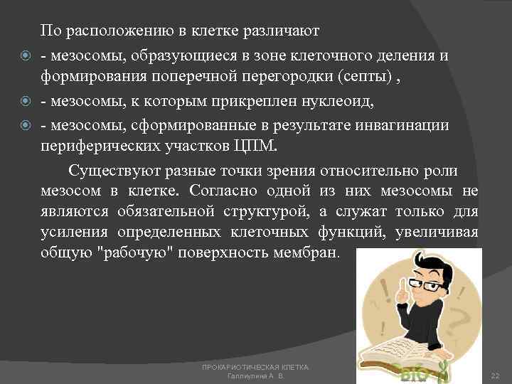 По расположению в клетке различают - мезосомы, образующиеся в зоне клеточного деления и формирования