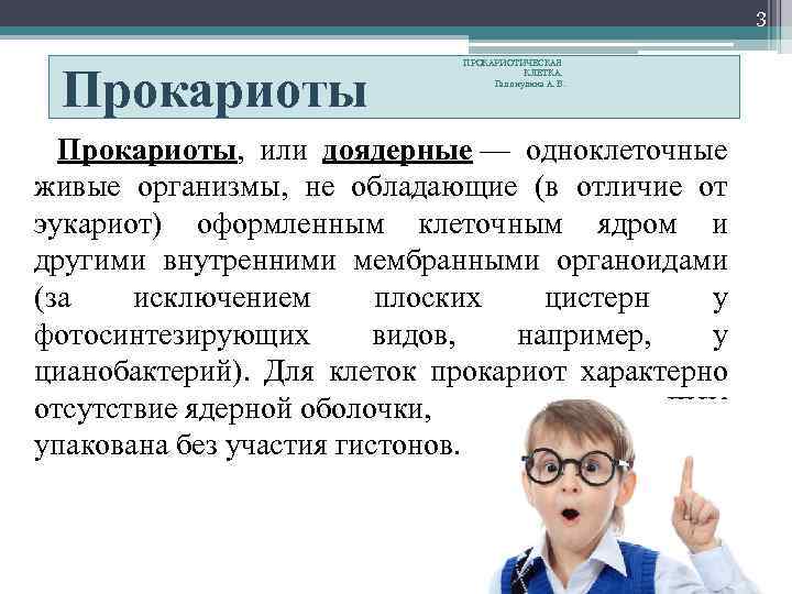 3 Прокариоты ПРОКАРИОТИЧЕСКАЯ КЛЕТКА. Галлиулина А. В. Прокариоты, или доядерные — одноклеточные живые организмы,