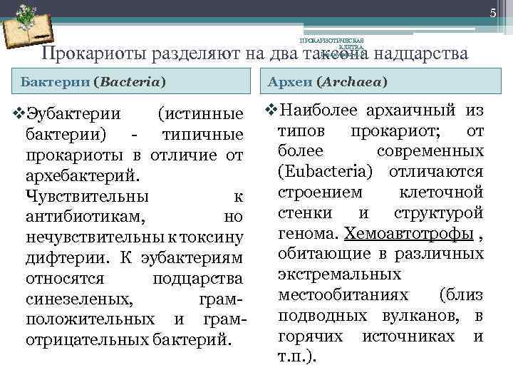 5 ПРОКАРИОТИЧЕСКАЯ КЛЕТКА. Галлиулина А. В. Прокариоты разделяют на два таксона надцарства Бактерии (Bacteria)