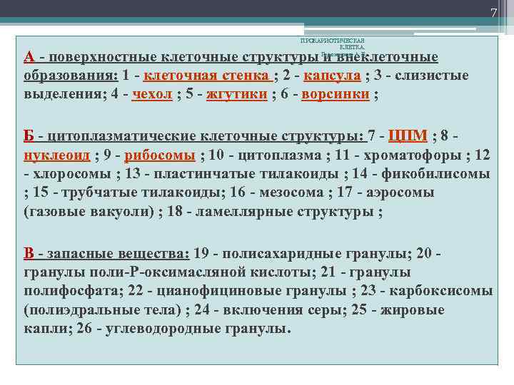 7 ПРОКАРИОТИЧЕСКАЯ КЛЕТКА. Галлиулина А. В. А - поверхностные клеточные структуры и внеклеточные образования: