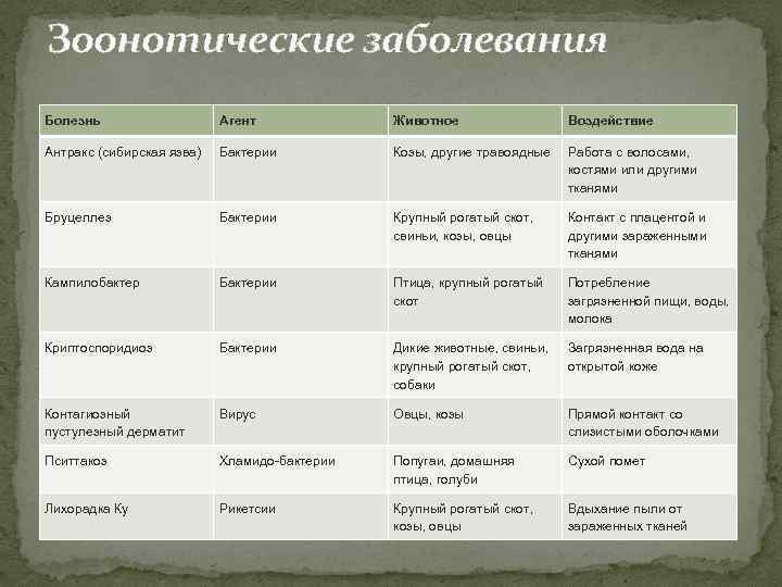 Зоонотические заболевания Болезнь Агент Животное Воздействие Антракс (сибирская язва) Бактерии Козы, другие травоядные Работа