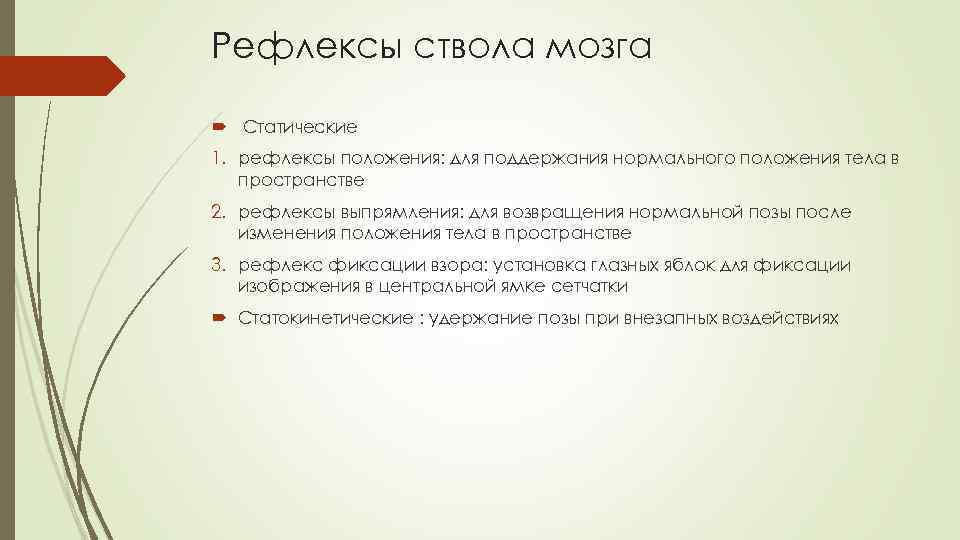 Рефлексы ствола мозга Статические 1. рефлексы положения: для поддержания нормального положения тела в пространстве