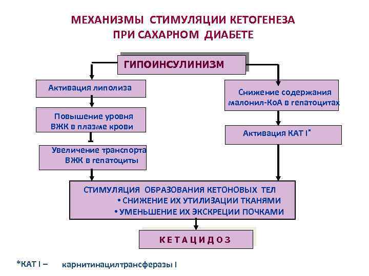 Обмен веществ и диабет