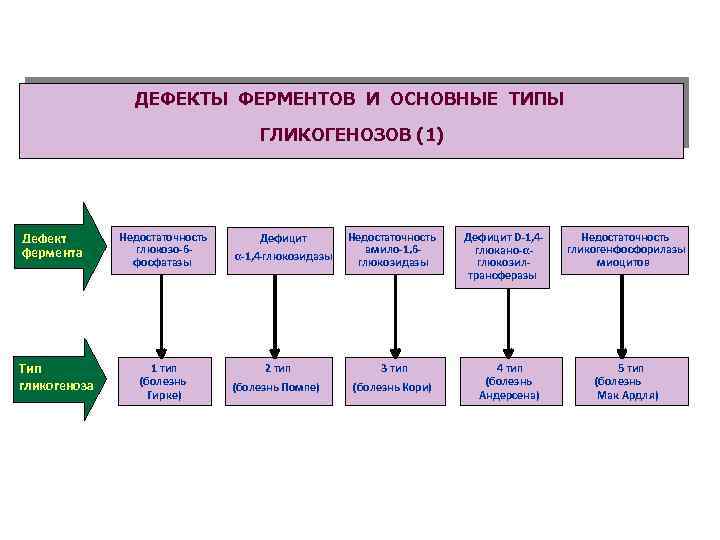 ДЕФЕКТЫ ФЕРМЕНТОВ И ОСНОВНЫЕ ТИПЫ ГЛИКОГЕНОЗОВ (1) Дефект фермента Тип гликогеноза Недостаточность глюкозо-6 фосфатазы